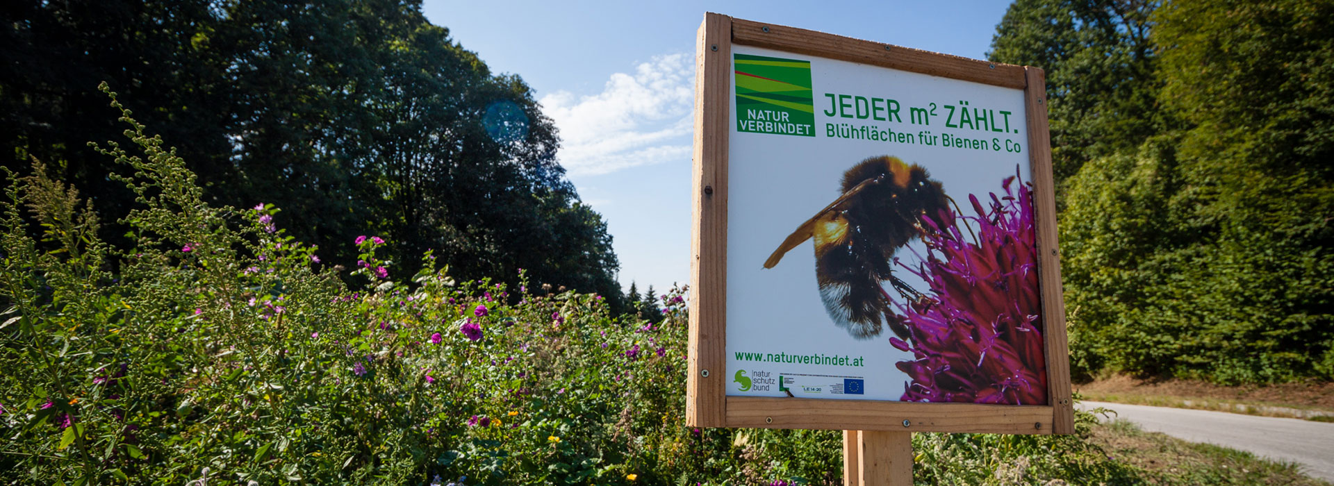 Bienenweide - Landwirt Kastenberger - Der Biene zuliebe