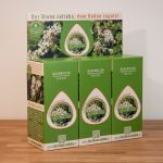 3 Überkartons mit 3x42 Packungen Buchweizen Saatgut - Premium Partner