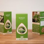3 Überkartons mit 3x42 Packungen Buchweizen Saatgut - Premium Partner