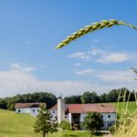 Waldstaudekorn | Dem Boden zugute | Landwirt Kastenberger