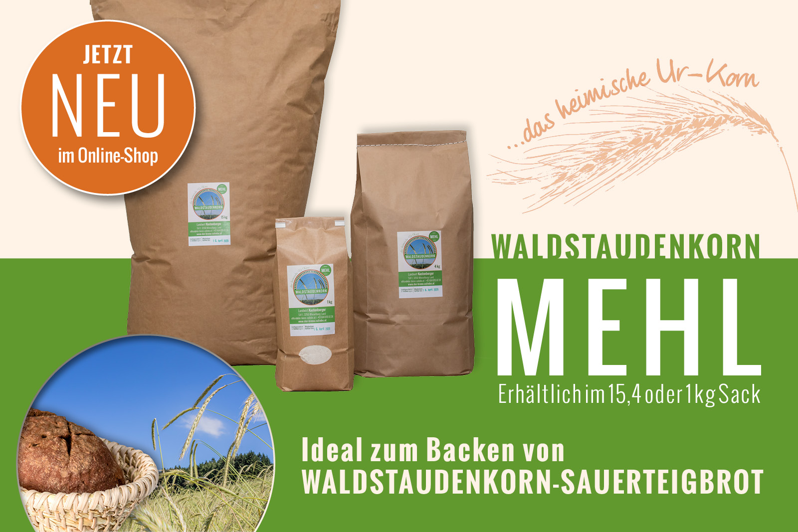 Neu im Shop: Waldstaudenkorn MEHL