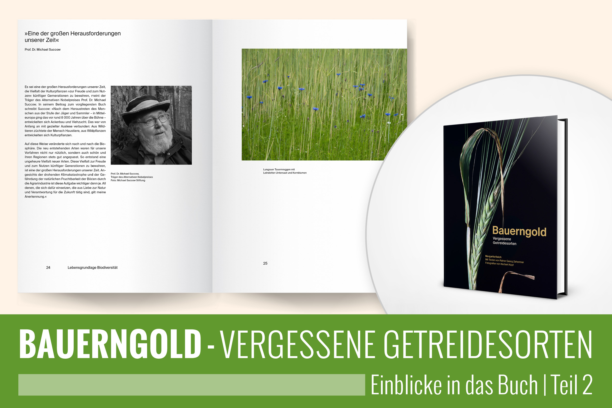 BAUERNGOLD – Einblicke in das Buch (Teil 2)