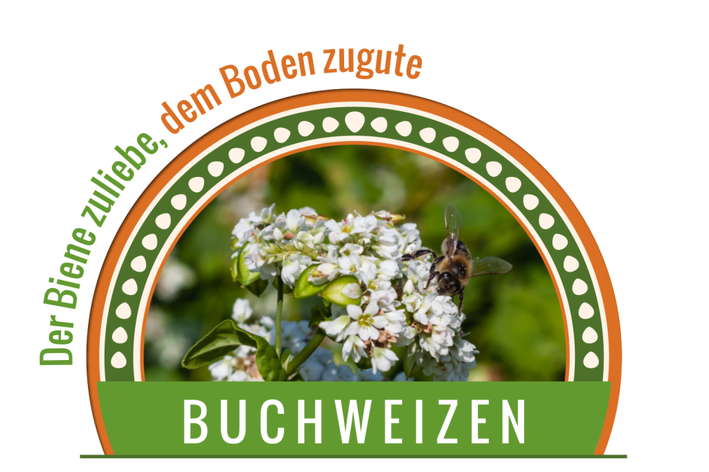 Buchweizen