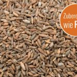 Waldstaudenkorn GESCHLIFFEN & POLIERT - Der Biene zuliebe